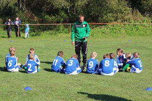 五大联赛是否提升边路轮换参与战术决策比重，五大联赛可以换5人