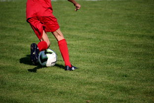 内线球员在快节奏体系下的功能性演变，内线球员的主要作用